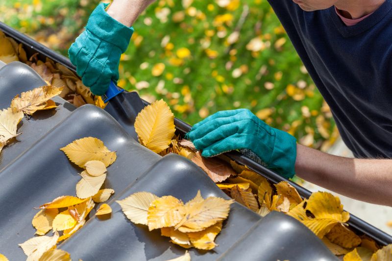 Gutter Leaves Removal in Rochester, NY