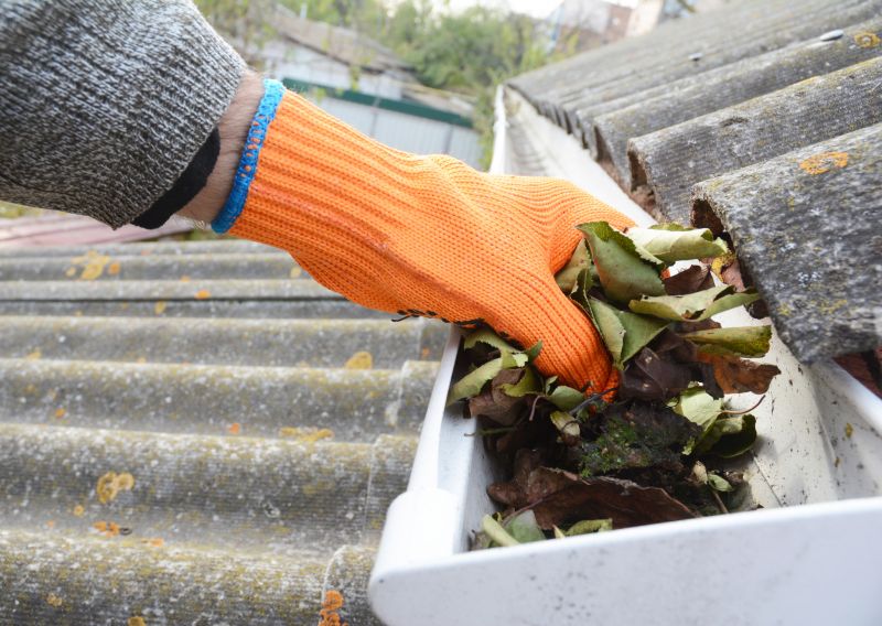 Gutter Leaves Removal in Baltimore, MD