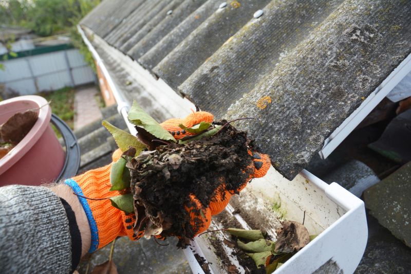Gutter Pine Needle Removal in Morris County, NJ