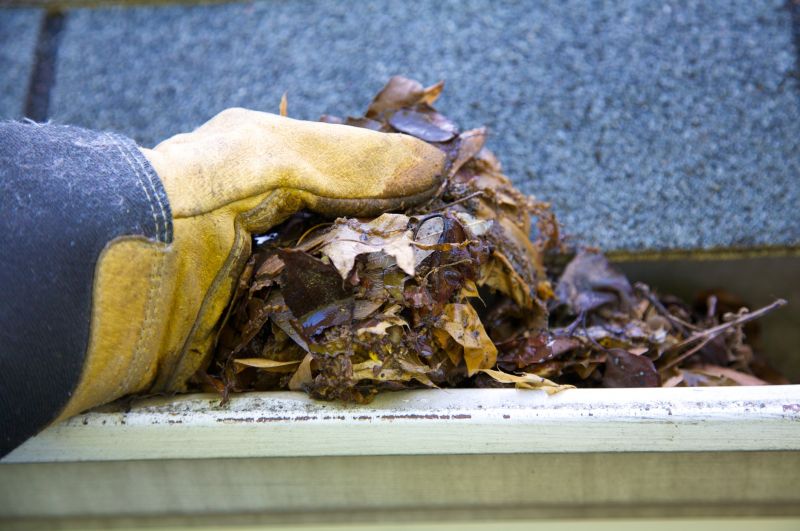 Rain Gutter Clearing in Morris County, NJ