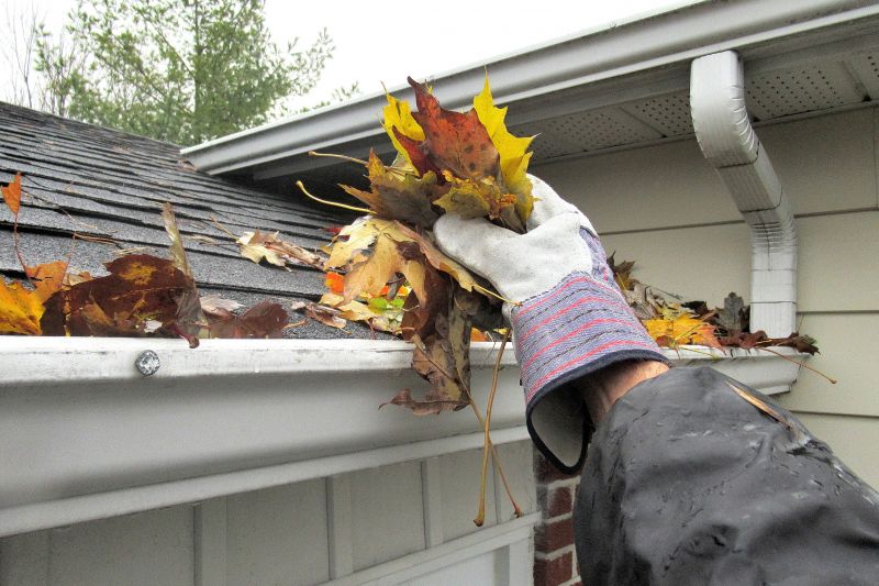 Roof Gutter Cleaning in Pittsburgh, PA